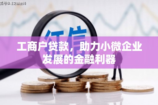 柳南工商户贷款，助力小微企业发展的金融利器
