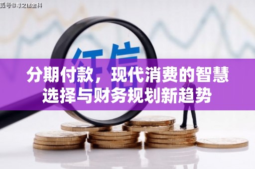 柳南分期付款，现代消费的智慧选择与财务规划新趋势