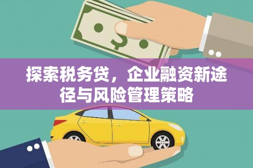 柳南探索税务贷，企业融资新途径与风险管理策略