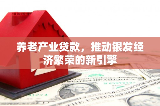 柳南养老产业贷款，推动银发经济繁荣的新引擎