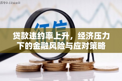 柳南贷款违约率上升，经济压力下的金融风险与应对策略