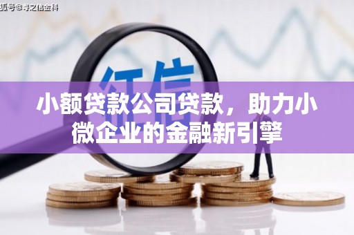 柳南小额贷款公司贷款，助力小微企业的金融新引擎