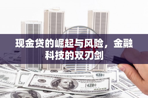 柳南现金贷的崛起与风险，金融科技的双刃剑