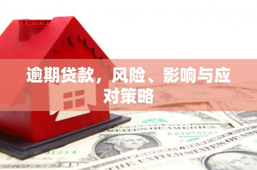 柳南逾期贷款，风险、影响与应对策略