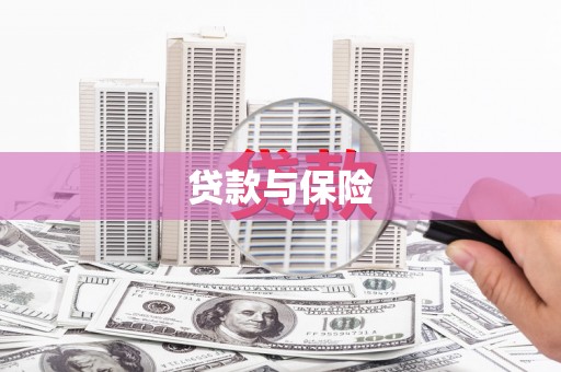 柳南贷款与保险
