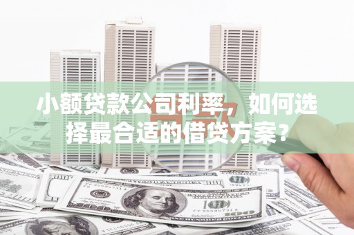 柳南小额贷款公司利率，如何选择最合适的借贷方案？