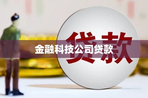 柳南金融科技公司贷款