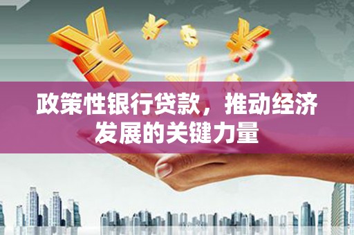 柳南政策性银行贷款，推动经济发展的关键力量