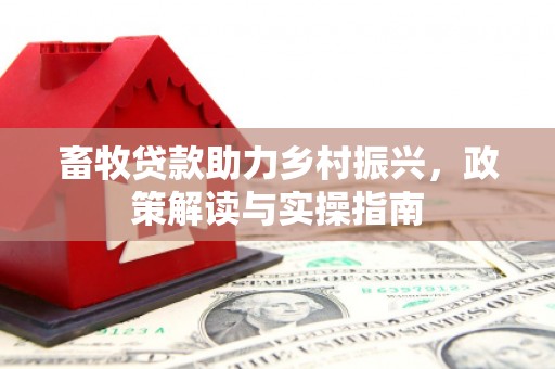 柳南畜牧贷款助力乡村振兴，政策解读与实操指南