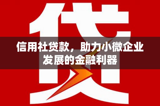柳南信用社贷款，助力小微企业发展的金融利器