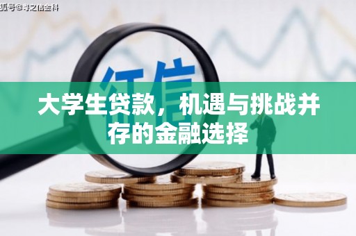 柳南大学生贷款，机遇与挑战并存的金融选择