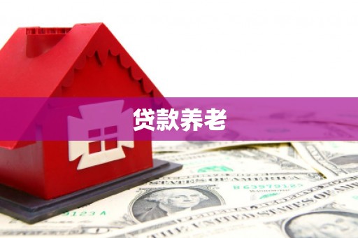柳南贷款养老