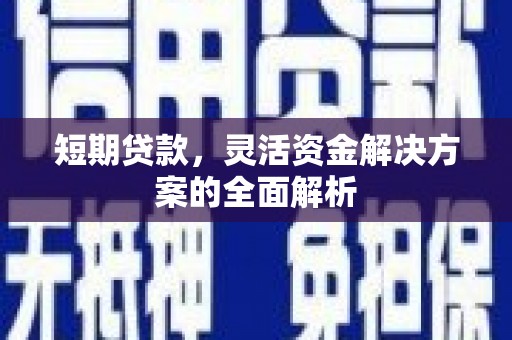 柳南短期贷款，灵活资金解决方案的全面解析