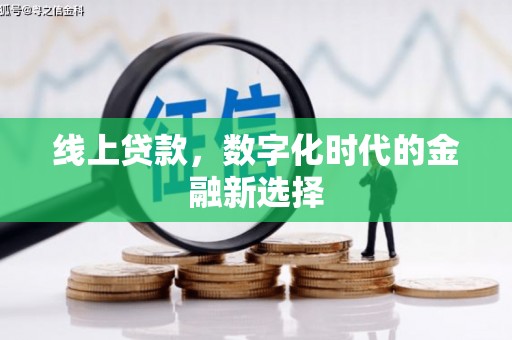 柳南线上贷款，数字化时代的金融新选择