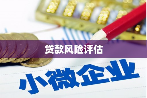 柳南贷款风险评估