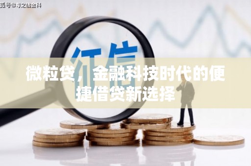 柳南微粒贷，金融科技时代的便捷借贷新选择