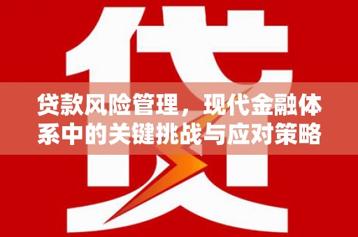 柳南贷款风险管理，现代金融体系中的关键挑战与应对策略