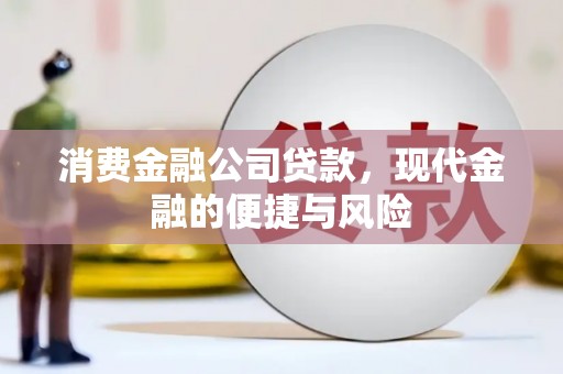 柳南消费金融公司贷款，现代金融的便捷与风险