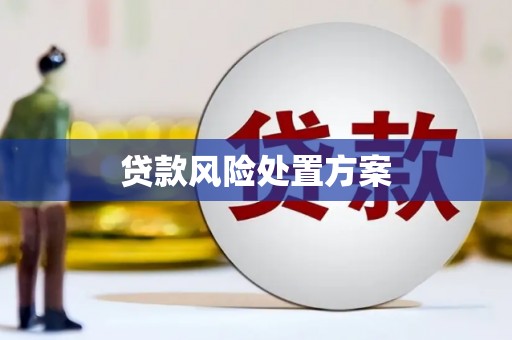 柳南贷款风险处置方案
