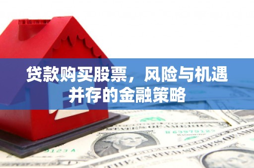 柳南贷款购买股票，风险与机遇并存的金融策略