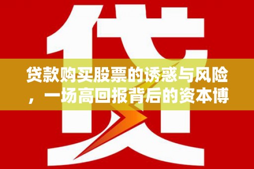 柳南贷款购买股票的诱惑与风险，一场高回报背后的资本博弈