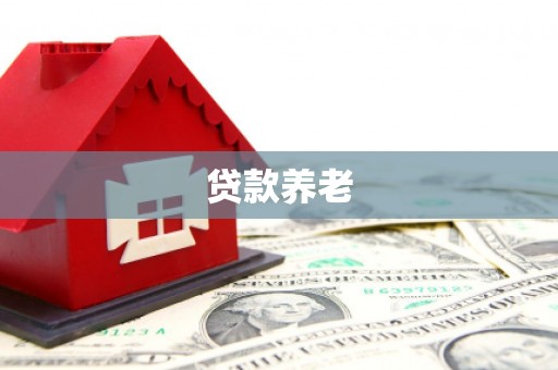柳南贷款养老