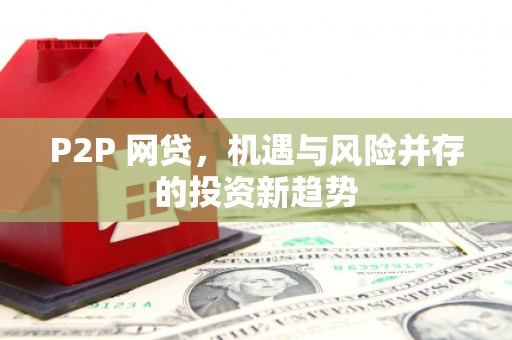柳南P2P 网贷，机遇与风险并存的投资新趋势