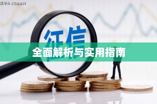 柳南全面解析与实用指南