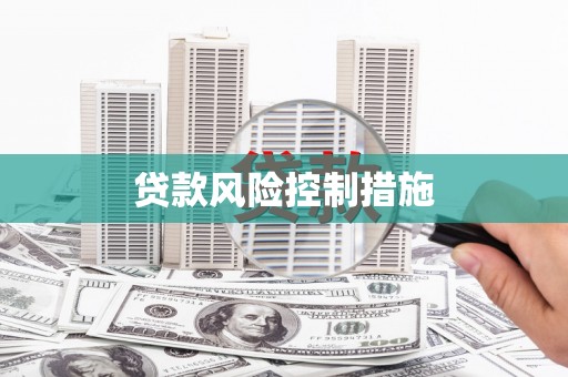 柳南贷款风险控制措施